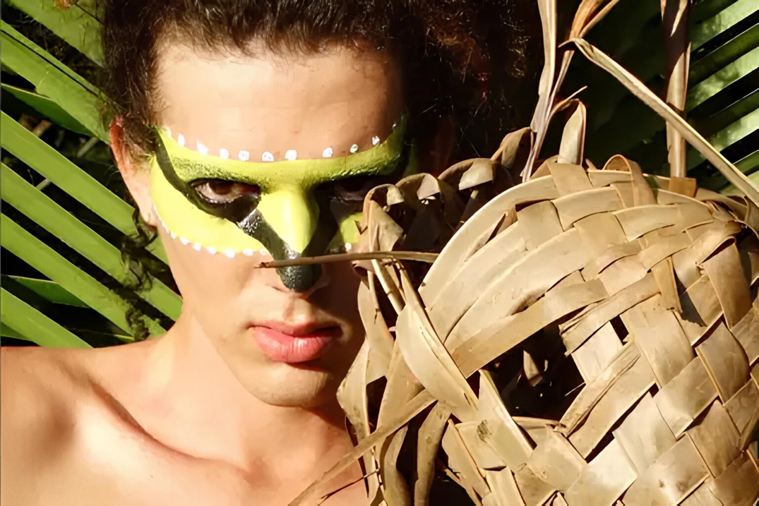 artistas amazônicos defesa floresta