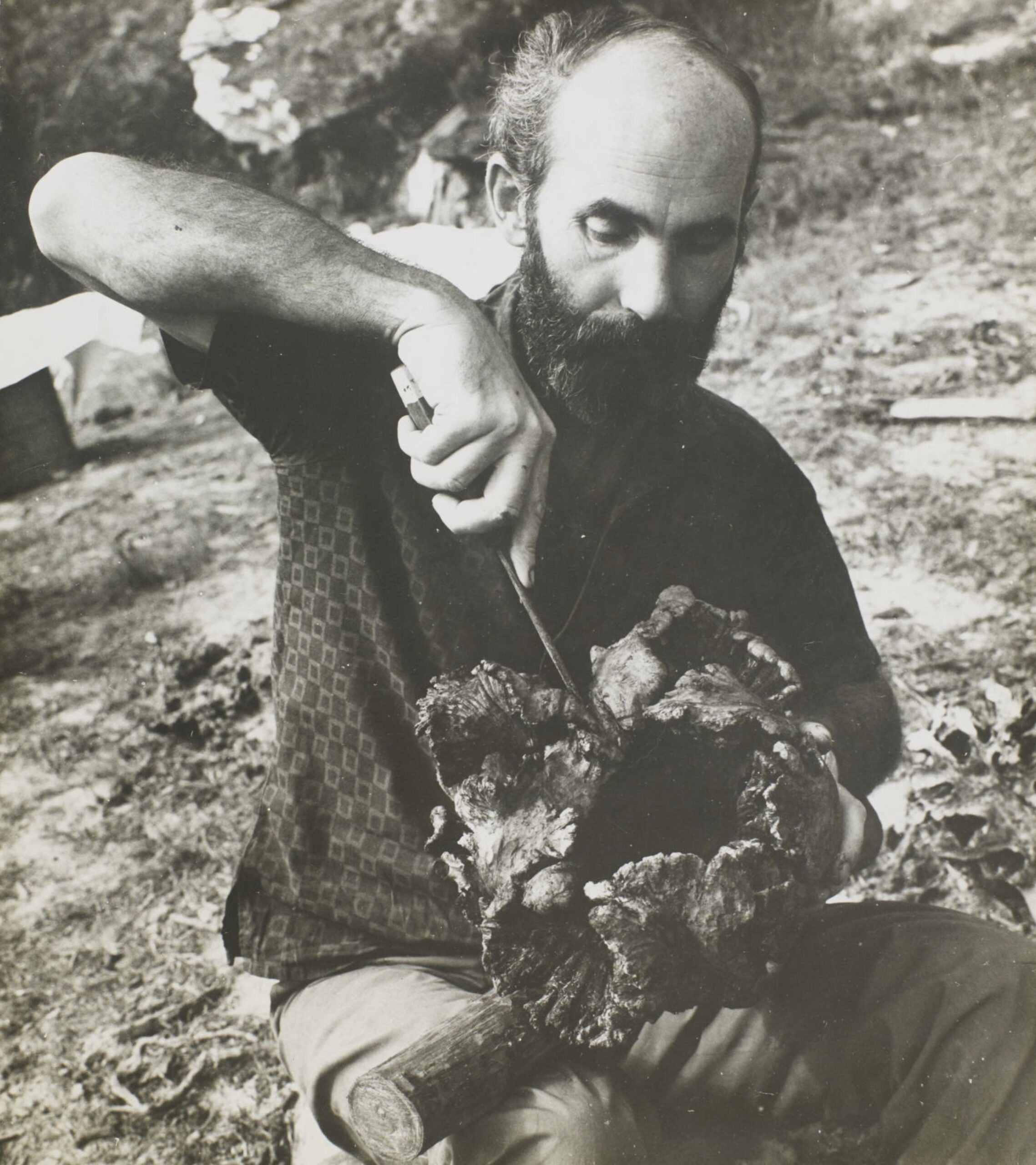 Frans Krajcberg