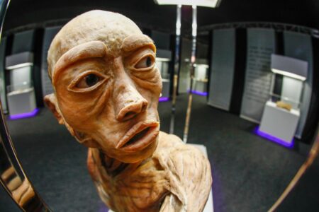Exposição Human Bodies