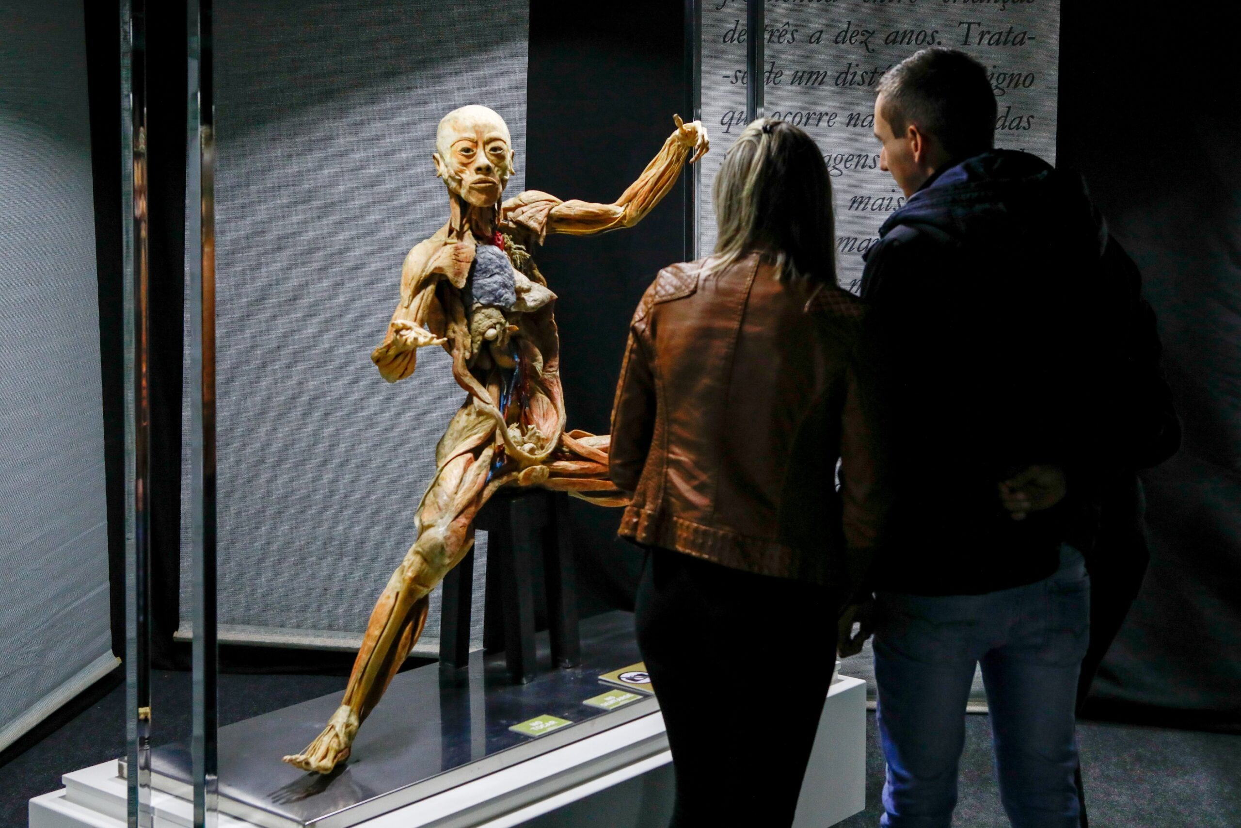 Exposição Human Bodies