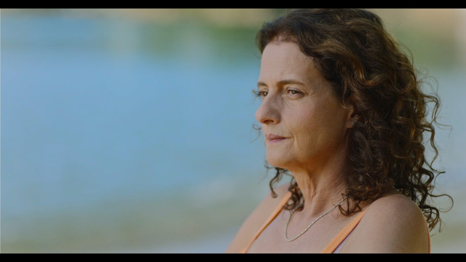 ‘Livros Restantes’ estreia nos cinemas com Denise Fraga em história de amor e literatura